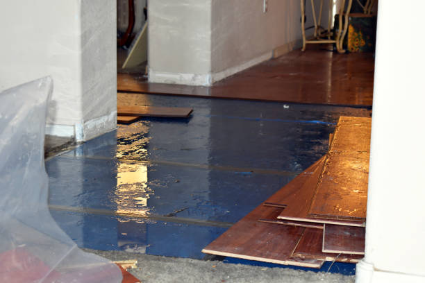 Professional Basement Flood Cleanup technician working in Willernie, MN